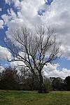 Click to see Y-WB-FE16_35PZ-DSC00233.JPG