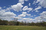 Click to see Y-WB-FE16_35PZ-DSC00239.JPG