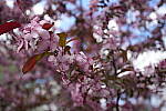 Click to see Y-WB-FE16_35PZ-DSC00251.JPG