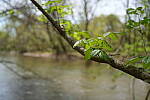 Click to see Y-WB-FE16_35PZ-DSC00255.JPG