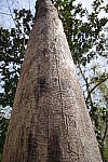 Click to see Y-WB-FE16_35PZ-DSC00279.JPG