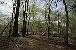 Click to see Y-WB-FE16_35PZ-DSC00293.JPG