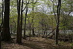 Click to see Y-WB-FE16_35PZ-DSC00294.JPG