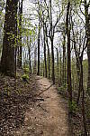Click to see Y-WB-FE16_35PZ-DSC00295.JPG