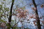 Click to see Y-WB-FE16_35PZ-DSC00297.JPG
