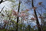 Click to see Y-WB-FE16_35PZ-DSC00298.JPG