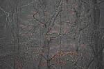 Click to see Y-WB-Sigma60_600_BETA-DSC00424.JPG