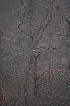 Click to see Y-WB-Sigma60_600_BETA-DSC00426.JPG
