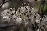 Click to see Y-WB-Sigma60_600_BETA-DSC00478.JPG