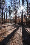 Click to see Y-WB-Sony2070-DSC00949.JPG