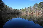 Click to see Y-WB-Sony2070-DSC00979-SHARP-20mm-f4.0.JPG