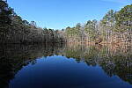 Click to see Y-WB-Sony2070-DSC00982-SHARP-20mm-f11.0.JPG