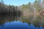 Click to see Y-WB-Sony2070-DSC00987-SHARP-35mm-f8.0.JPG