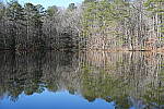 Click to see Y-WB-Sony2070-DSC00991-SHARP-50mm-f4.0.JPG
