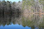 Click to see Y-WB-Sony2070-DSC00994-SHARP-50mm-f11.0.JPG