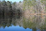 Click to see Y-WB-Sony2070-DSC00996-SHARP-50mm-f22.0.JPG