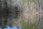 Click to see Y-WB-Sony2070-DSC00997-SHARP-70mm-f4.0.JPG