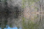Click to see Y-WB-Sony2070-DSC00998-SHARP-70mm-f5.6.JPG