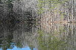 Click to see Y-WB-Sony2070-DSC01000-SHARP-70mm-f11.0.JPG