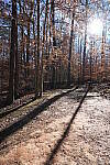 Click to see Y-WB-Sony2070-DSC01004.JPG