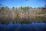 Click to see Y-WB-Sony2070-DSC01013-SHARP-20mm-f4.0.JPG