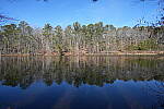 Click to see Y-WB-Sony2070-DSC01014-SHARP-20mm-f5.6.JPG