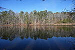 Click to see Y-WB-Sony2070-DSC01015-SHARP-20mm-f8.0.JPG
