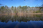Click to see Y-WB-Sony2070-DSC01016-SHARP-20mm-f11.0.JPG