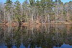 Click to see Y-WB-Sony2070-DSC01021-SHARP-35mm-f8.0.JPG