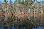 Click to see Y-WB-Sony2070-DSC01022-SHARP-35mm-f11.0.JPG