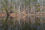 Click to see Y-WB-Sony2070-DSC01025-SHARP-50mm-f4.0.JPG