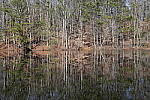 Click to see Y-WB-Sony2070-DSC01026-SHARP-50mm-f5.6.JPG