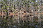 Click to see Y-WB-Sony2070-DSC01027-SHARP-50mm-f8.0.JPG