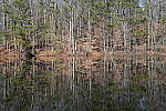 Click to see Y-WB-Sony2070-DSC01028-SHARP-50mm-f11.0.JPG