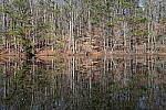 Click to see Y-WB-Sony2070-DSC01029-SHARP-50mm-f16.0.JPG