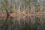 Click to see Y-WB-Sony2070-DSC01030-SHARP-50mm-f22.0.JPG