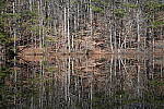 Click to see Y-WB-Sony2070-DSC01031-SHARP-70mm-f4.0.JPG