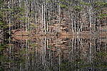 Click to see Y-WB-Sony2070-DSC01032-SHARP-70mm-f5.6.JPG