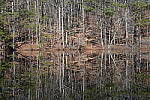 Click to see Y-WB-Sony2070-DSC01033-SHARP-70mm-f8.0.JPG