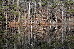 Click to see Y-WB-Sony2070-DSC01034-SHARP-70mm-f11.0.JPG