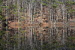 Click to see Y-WB-Sony2070-DSC01035-SHARP-70mm-f16.0.JPG