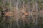 Click to see Y-WB-Sony2070-DSC01036-SHARP-70mm-f22.0.JPG