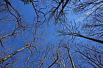 Click to see Y-WB-Sony2070-DSC01051.JPG