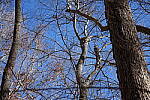 Click to see Y-WB-Sony2070-DSC01076.JPG