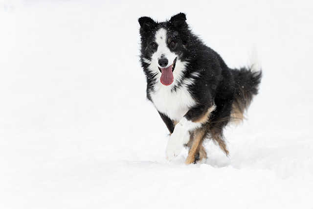 Sony A7 IV Review: Field Test -- Gallery Image