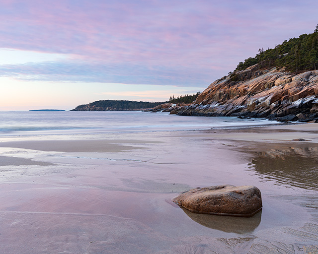 Sony A7 IV Review: Field Test -- Gallery Image