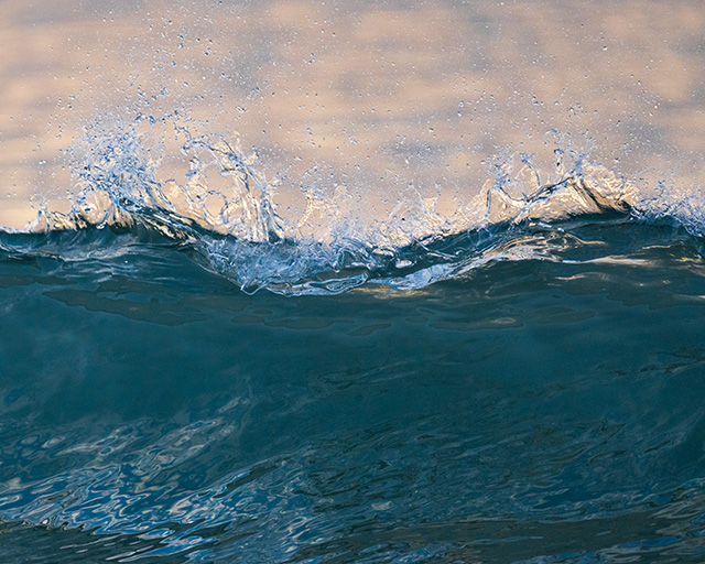Sony A7 IV Review: Field Test -- Gallery Image