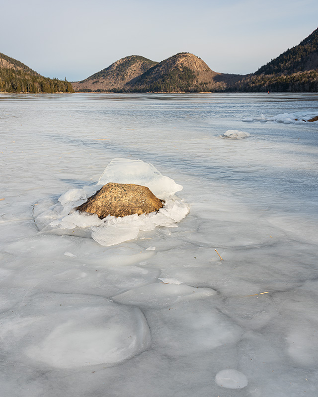 Sony A7 IV Review: Field Test -- Gallery Image