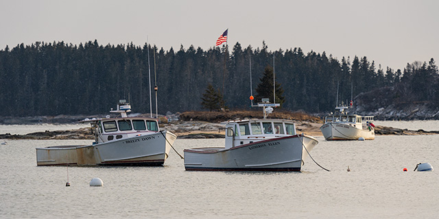 Sony A7 IV Review: Field Test -- Gallery Image