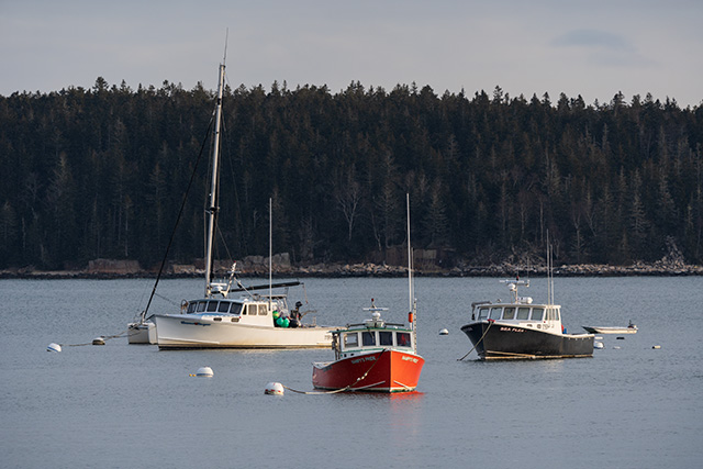 Sony A7 IV Review: Field Test -- Gallery Image